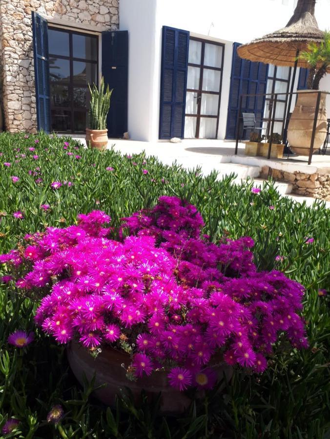 La Maison D'Helene Essaouira Ghazoua Экстерьер фото