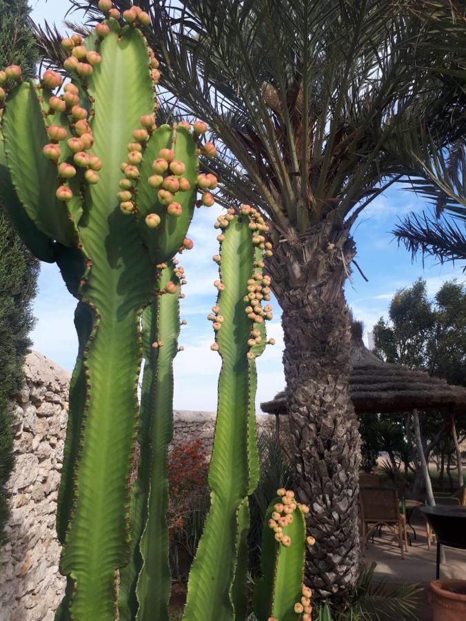 La Maison D'Helene Essaouira Ghazoua Экстерьер фото